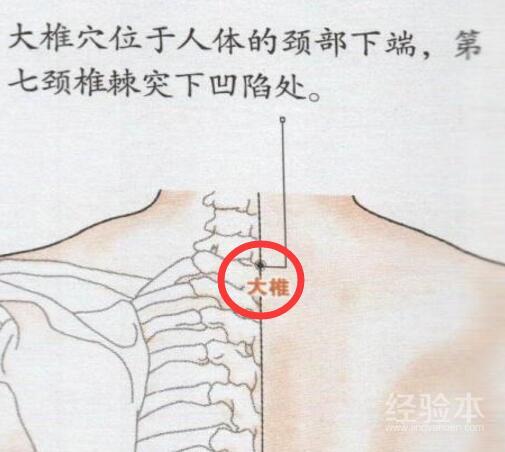 大椎的准确位置图大椎穴怎么找 健康经验本