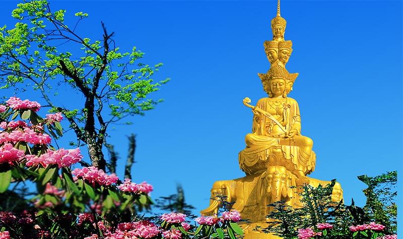峨眉山景区 赏云海日出看光奇景-旅游验本