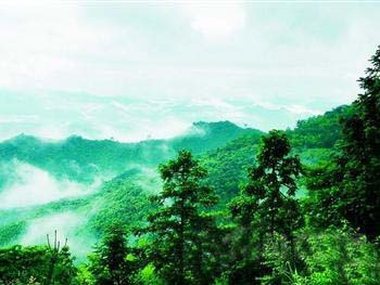 杭州白云源风景区简介